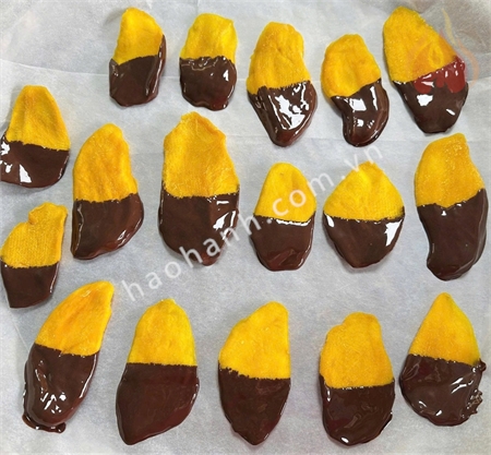 CHOCOLATE COATED SOFT DRIED MANGO