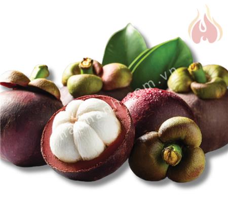 FRESH MANGOSTEEN
