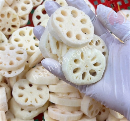 FROZEN LOTUS ROOT