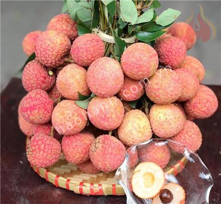 LYCHEE FRUIT