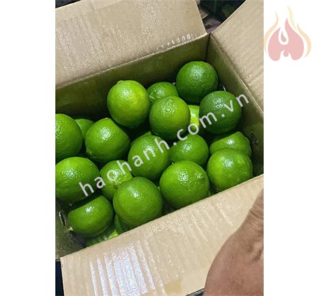 VẢI THIỀU LỤC NGẠN
