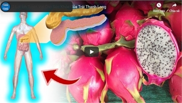 7 Lợi Ích Tuyệt Vời Cho Sức Khỏe Của Trái Thanh Long