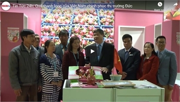 Quả thanh long của Việt Nam chinh phục thị trường Đức