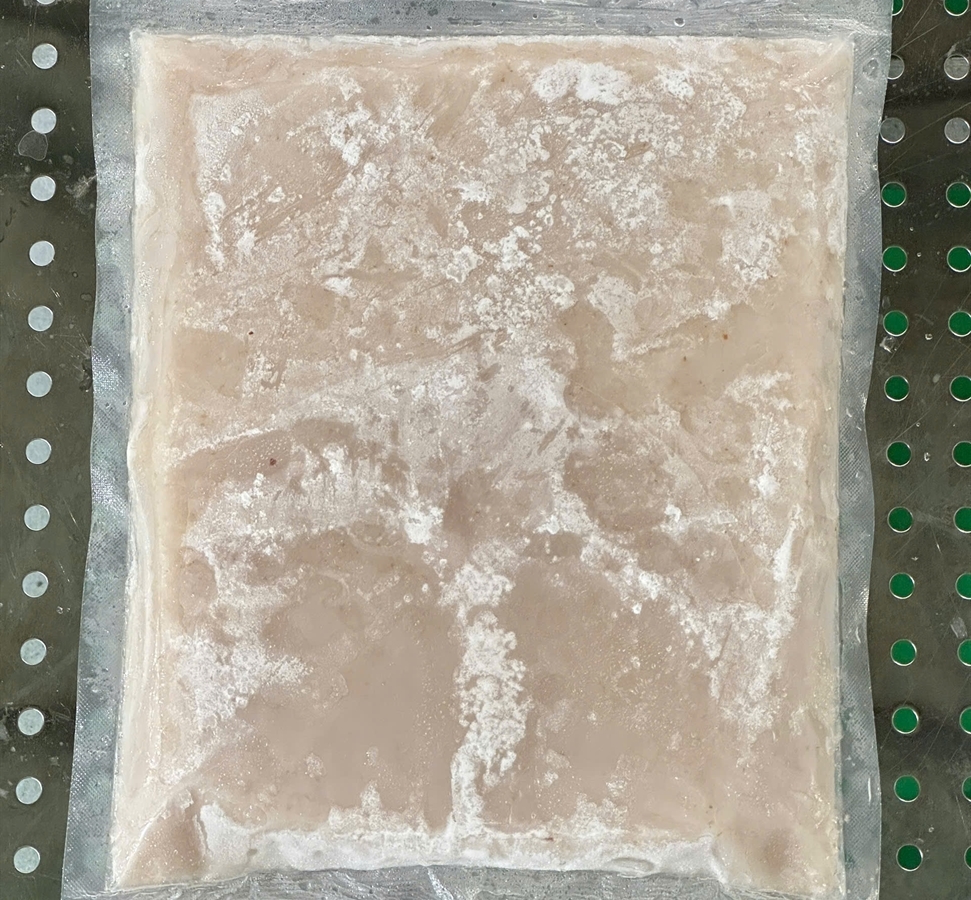 Liquidized Puree 2025_08_13_11_19_19_03.jpg